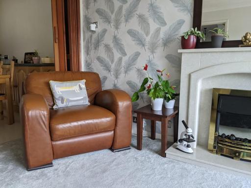 Cozy House - Housity