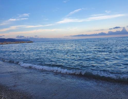 Desiree Paradis - Housity