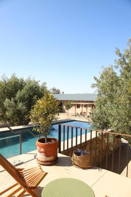 Alma Liebre Viñedos del Valle - Housity