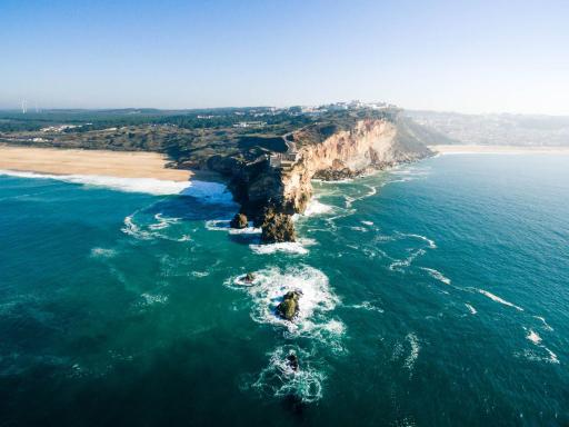Ricky House Big Waves - Housity