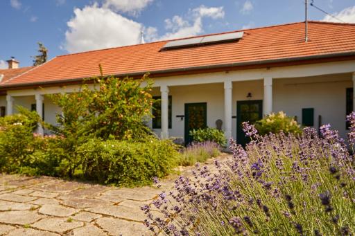 Barta Pince Vendégház Mád - Housity