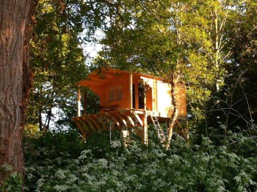 Cabane Dans Les Arbres Avec Bain Nordique - Housity