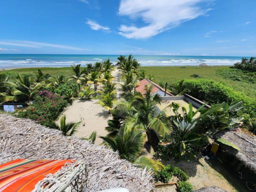 Con Todo, Canoa at the Coconut Hotel - Housity