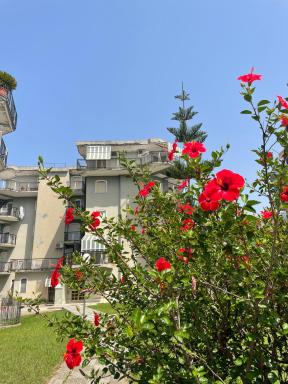 Savastano's Home - Housity