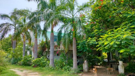 Indian Farm Story - Housity