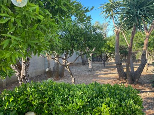 Monolocale DIAMANTE - Housity