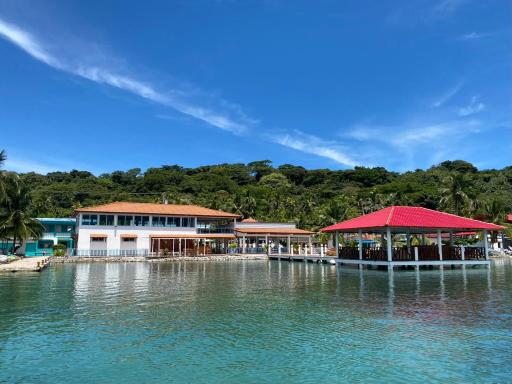Hotel Candy Rose - Housity