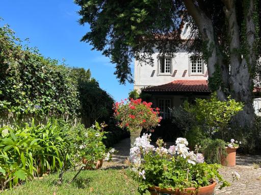 Villa Branca Jacinta - Housity