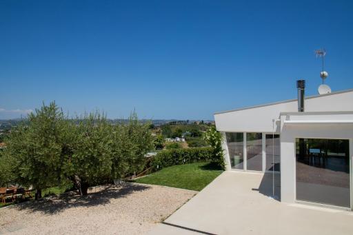 Ulivo Bianco - Housity