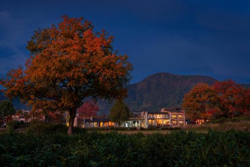 Alina Garden Resort Hotel Huangshan Hong Village - Housity