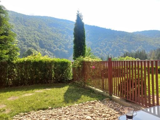 Belleview Garden Studio - Housity