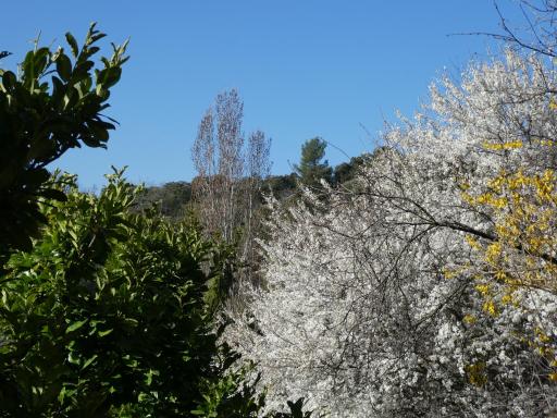 Dom L' Argo - Housity