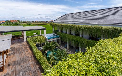 Canggu Hype - Housity