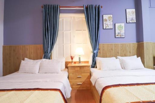 TEPPI HOUSE _DALAT - Housity