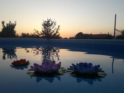 Gugi House - Housity