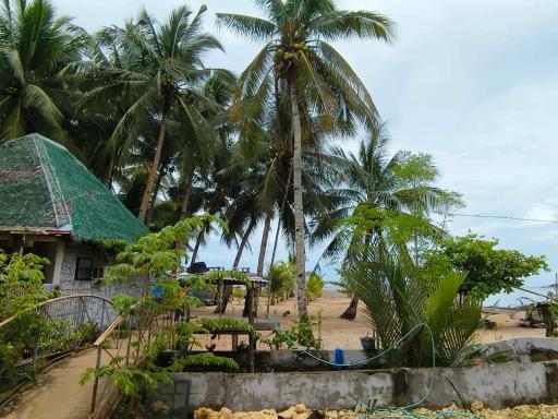 Tiliponan Nipa Hut - Housity