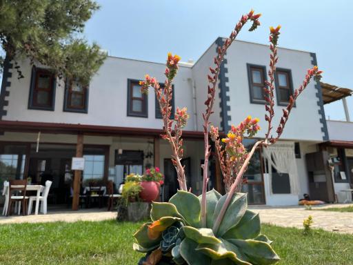 Vayu Hotel&Tiny Houses - Housity
