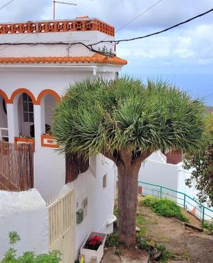 Acoran Family Ocean View Guest House With Daily Yoga Practice Included North Gran Canaria PRIVATE ROOM PET FRIENDLY - Housity