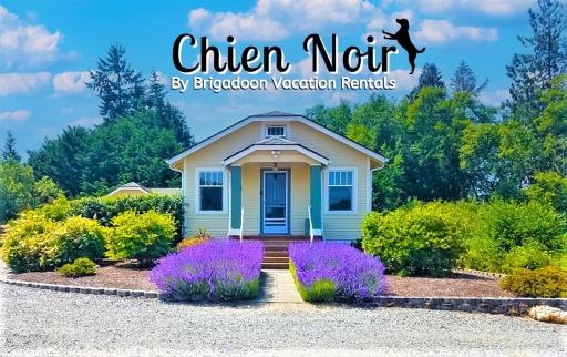 SQ Chien-Noir - Housity
