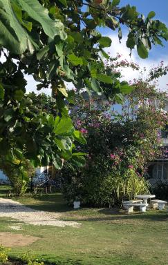 Airport Beach Hotel - Housity