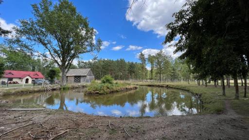 Agroturystyka ANTONIELÓW POD DĘBEM - Housity