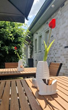 Hotel Rhin Inn - Housity