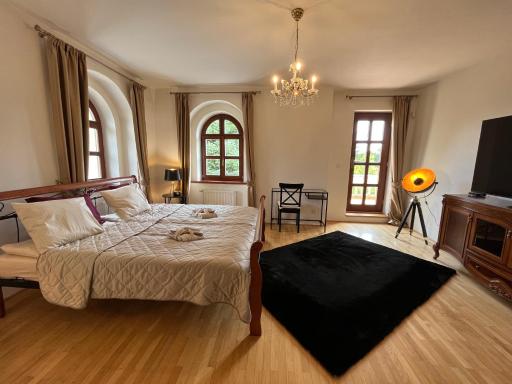 Dogs Resort and Spa - Housity