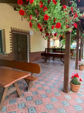 Noclegi Ciesiul - Housity