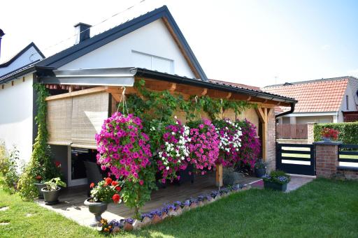 Apartman Tea - Housity