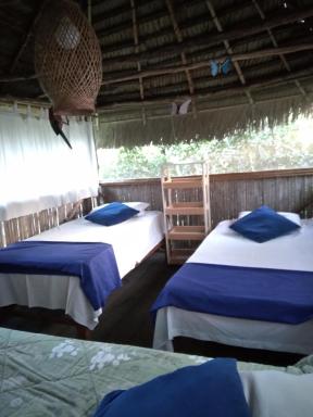 Cloud forest SAN CARLOS - Housity