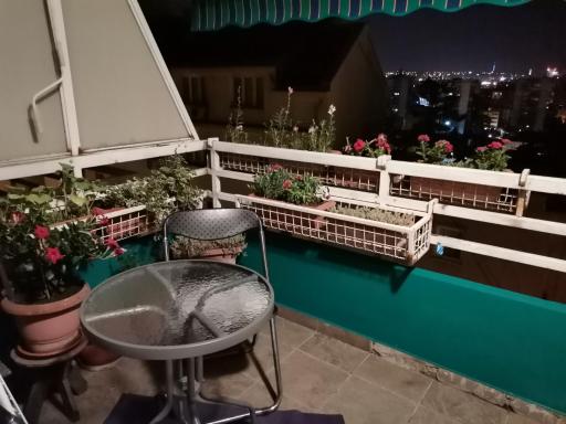 Rajana , Beograd - Hram Svetog Save - Housity