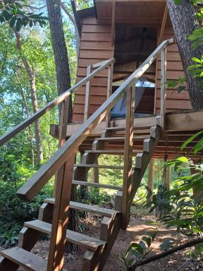 Boomhut - Housity