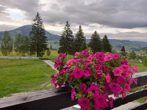 CASA LENA -VATRA DORNEI - Housity