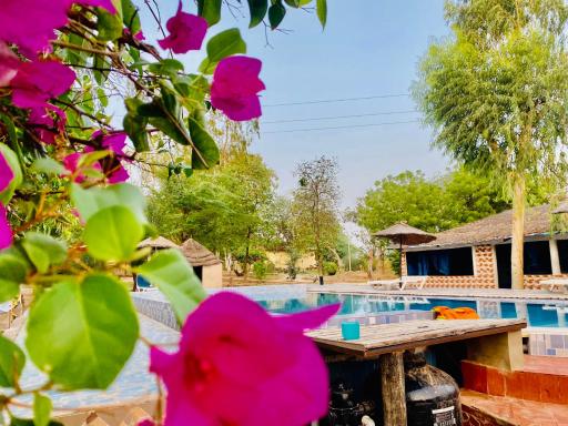 Hôtel le Caïman - Housity