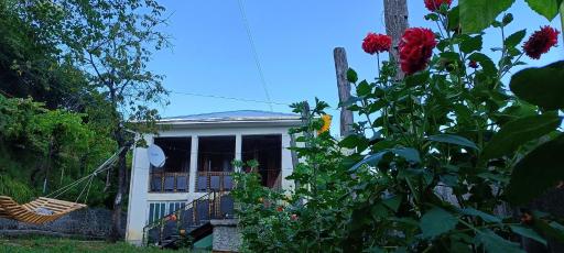Zesopheli guest house in Keda Agro & Eco tourism - Housity