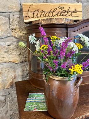 Ferienwohnung Landliebe - Housity