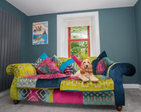 Tig Cottage - a rural, quirky, pet friendly 2 bedroom cottage near Ballantrae - Housity