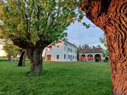 Corte LOIOL - Housity