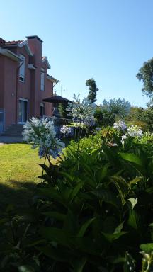 Alto Belo - Housity