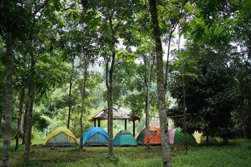 Batu Kapal Lodge - Housity
