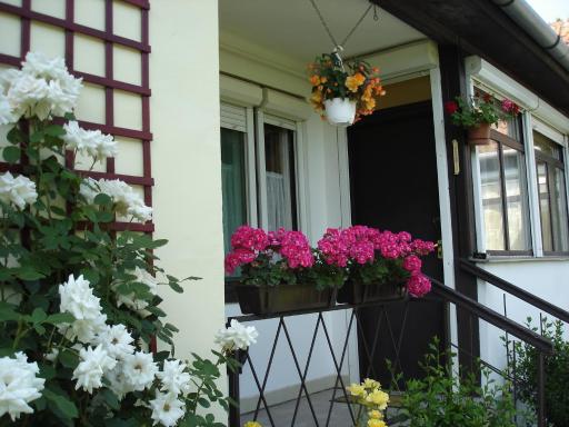 Liza Apartman - Housity