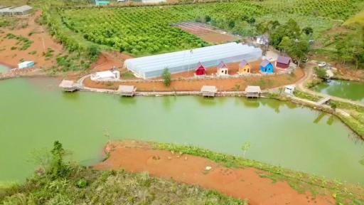 GREEN VALLEY Homestay - M?NG ?EN - Housity