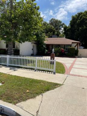 Summer Leaf - Housity