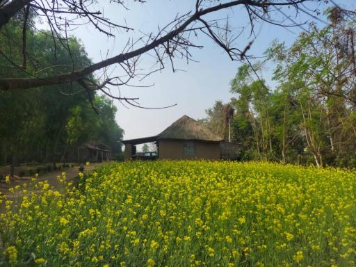 Birbhum Greens: Nature's Retreat - Housity
