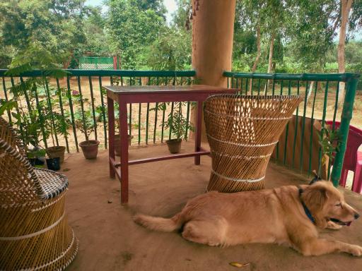 Birbhum Greens: Nature's Retreat - Housity