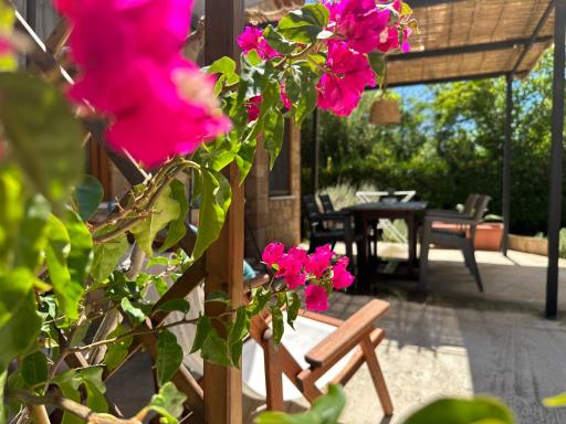 Genari Beach Apartments - Housity