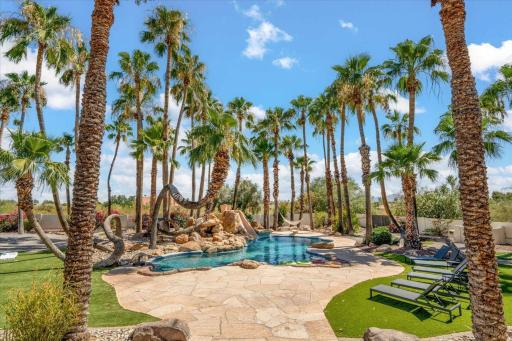 Caesar's Bliss - Housity