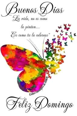 No se arrienda, este a partamento no se arrienda eleminen este aviso hace más de tres meses no se presta Servicio de habitaciones - Housity