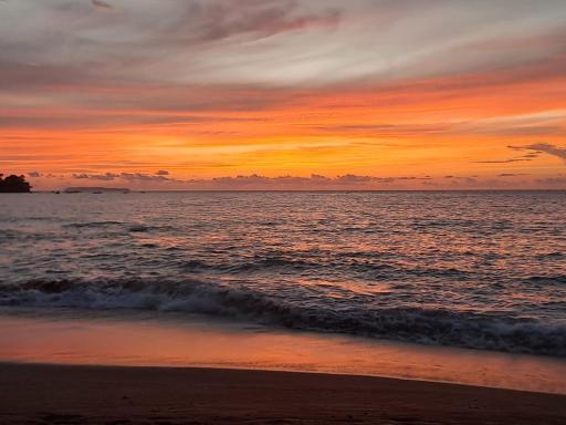 Vista Alta Ecolodge Bahia Drake - Housity