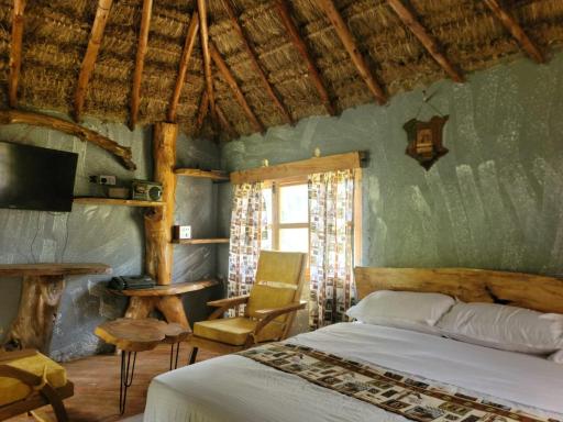 Podocarpus cottages - Housity